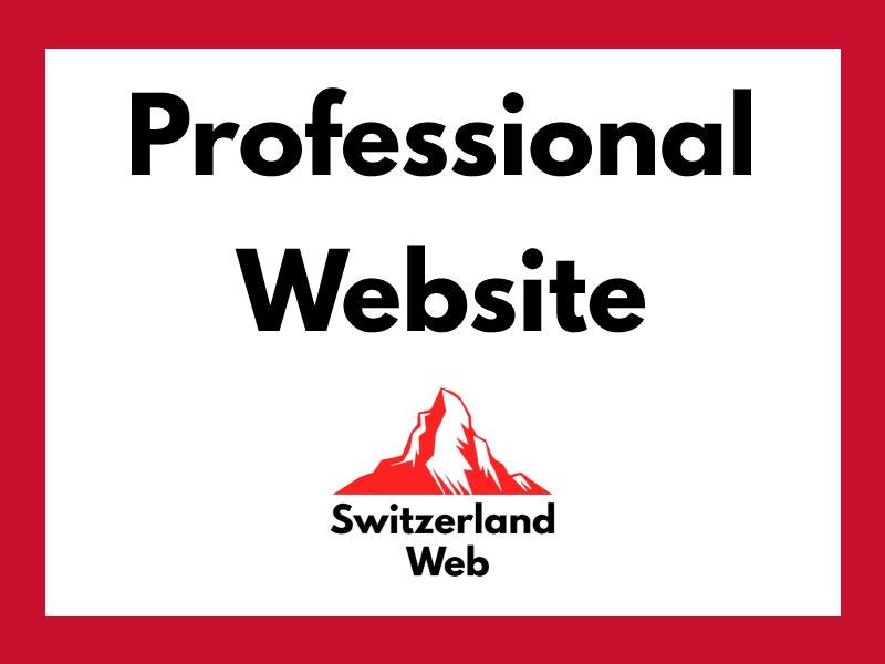 Banner with text "Professional Website" and Switzerland Web logo – modern Swiss web design for SMEs and local companies.